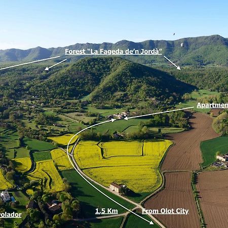 Apartamento "El Lila" - Parking Incluido Olot Kültér fotó