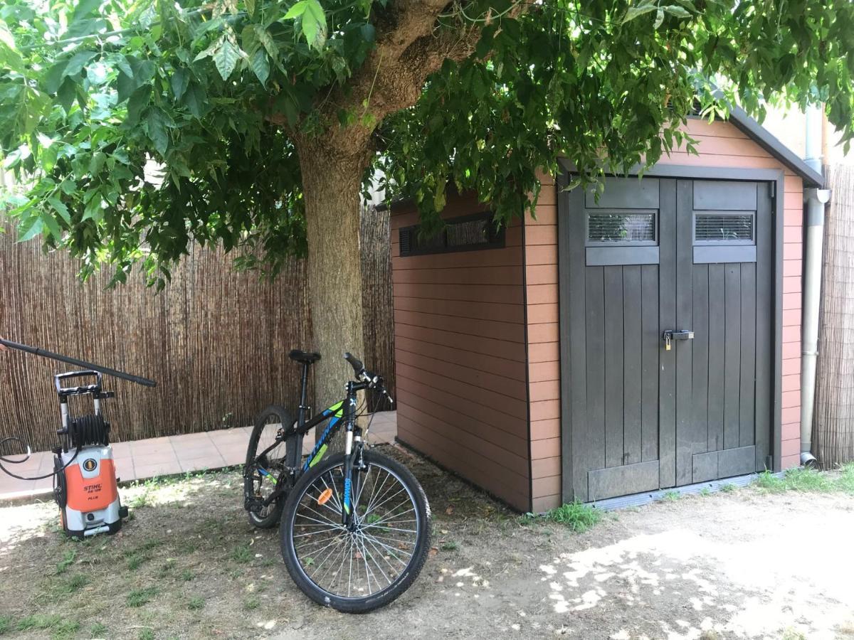 Apartamento "El Lila" - Parking Incluido Olot Kültér fotó