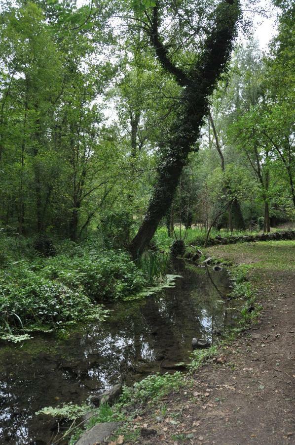 Apartamento "El Lila" - Parking Incluido Olot Kültér fotó