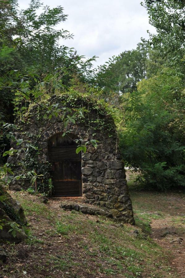 Apartamento "El Lila" - Parking Incluido Olot Kültér fotó
